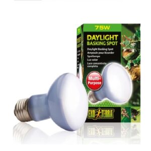 Exo Terra Daylight Basking Spot 75W warmte- en daglichtlamp voor reptielen terrarium